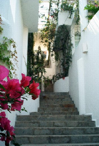 2-Amenities.jpg